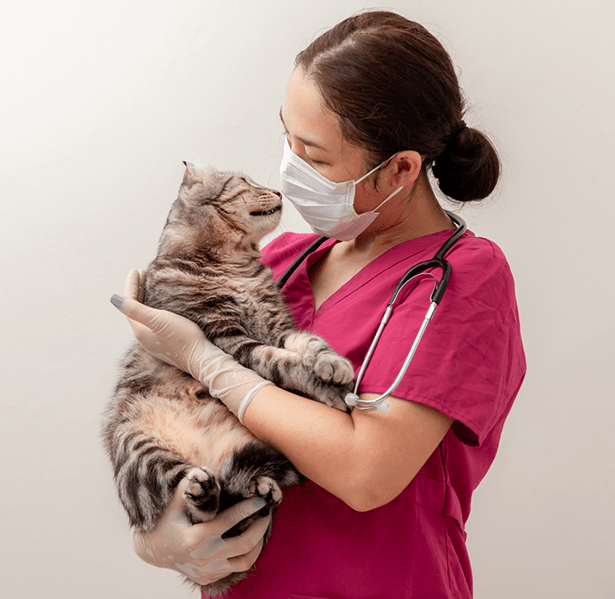 Petitico Farmácia Magistral Veterinária